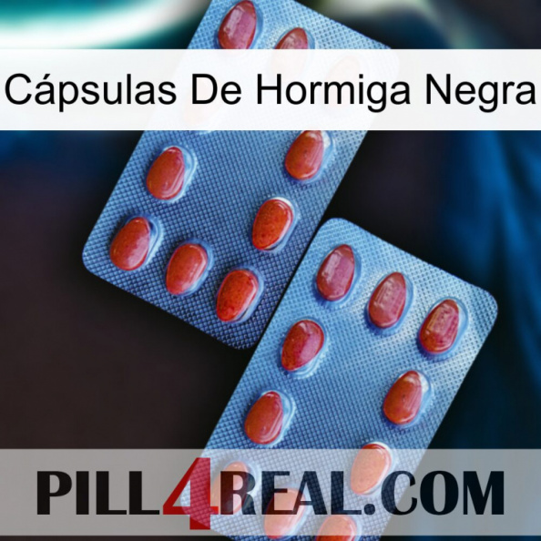 Cápsulas De Hormiga Negra 05.jpg